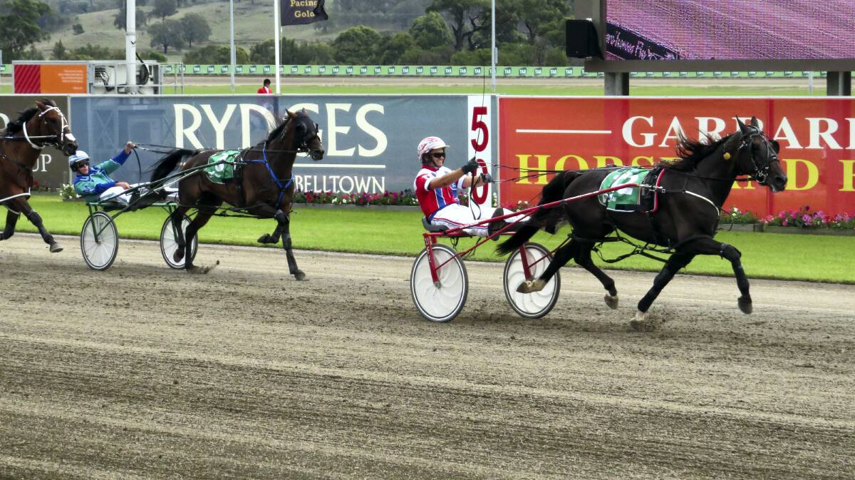 Longford-trained pacer Beautide, driven by James Rattray, races away to win the Interdominion final at Menangle Park on Sunday.