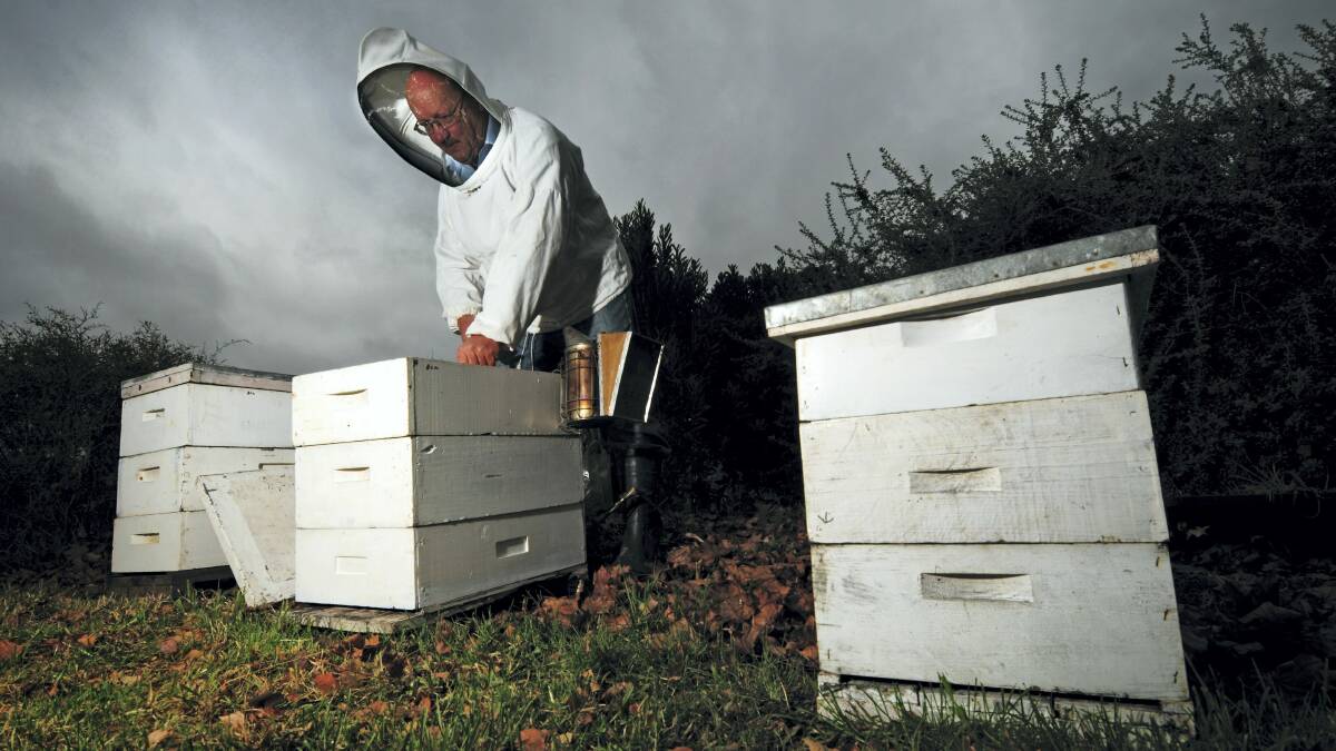 Beekeeper Brian Medcraft, of Patersonia, believes it's only a matter of time before the Varroa mite strikes the state's bee population.  Picture: PHILLIP BIGGS