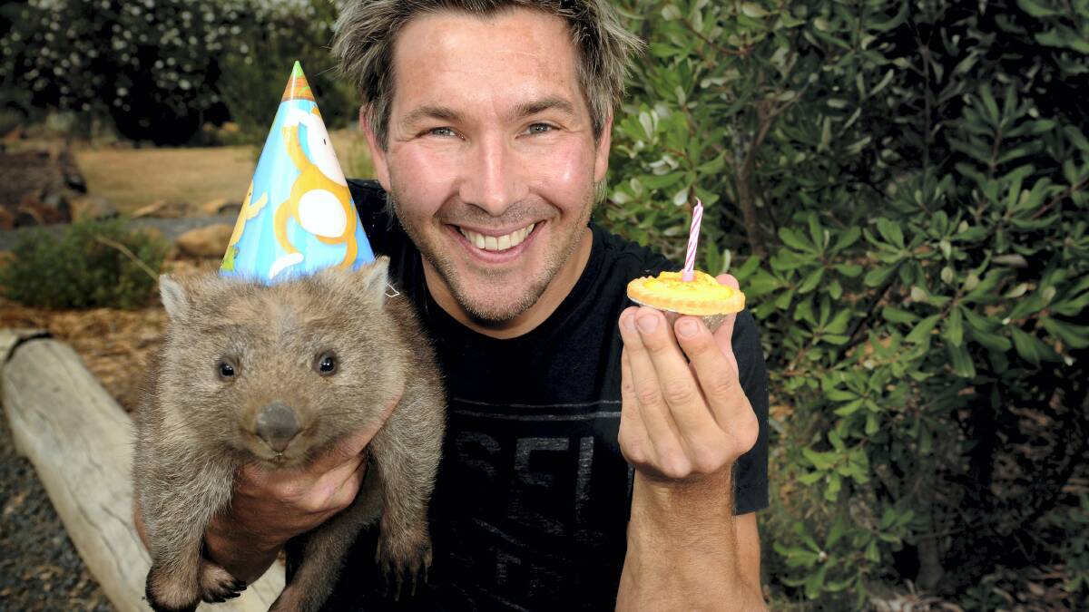 Zoologist and TV host Chris Humfrey and Tasmania Zoo's 18-month-old wombat, Carrie, celebrate Tasmania Zoo's 11th anniversary. Picture: GEOFF ROBSON