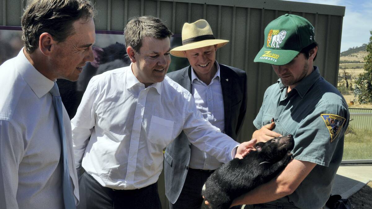 Federal Environment Minister Greg Hunt, Denison Liberal MHA Matthew Groom and Lyons Liberal MHR Eric Hutchinson learn about the Tasmanian devil from zookeeper George White at Richmond yesterday.
