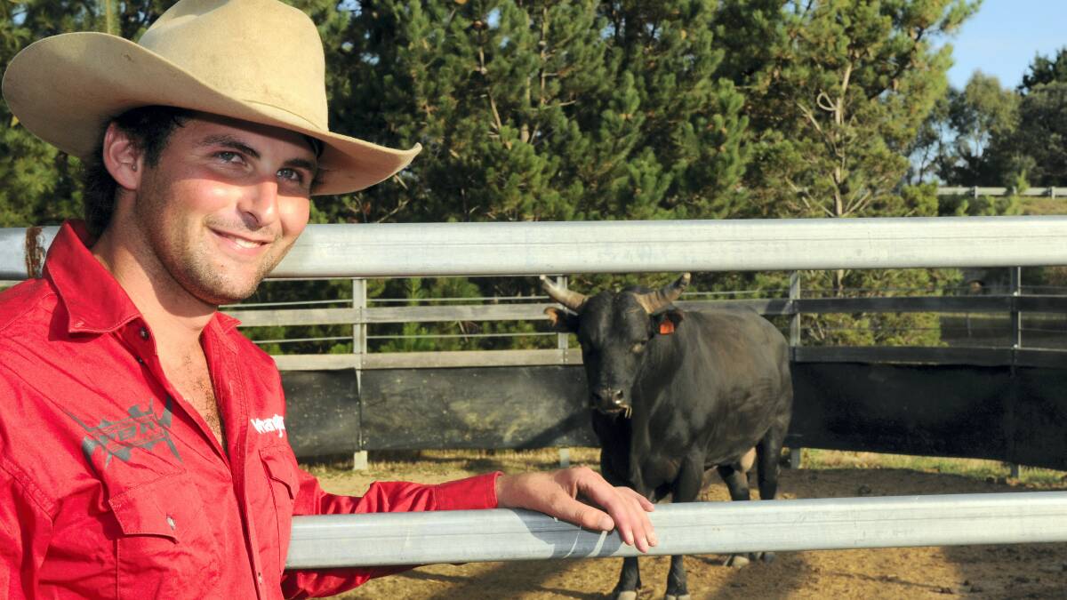 Champion bull rider Chris Dornauf with brahman bull Spidermonkey, owned by Andrew Wilson.  Picture: PAUL SCAMBLER