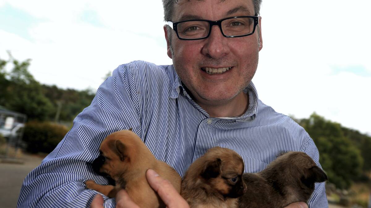 New RSPCA general manager Peter West with an armful of furry charges. Picture: GEOFF ROBSON