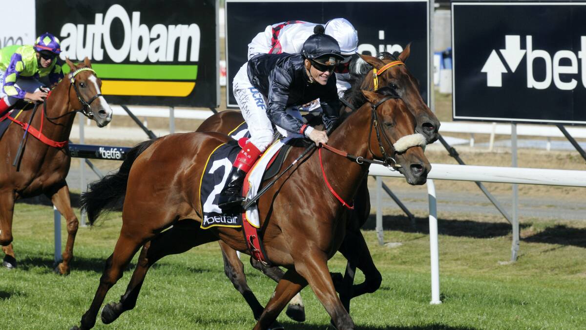 Epingle, ridden by Craig  Williams, won yesterday's  Launceston Cup. Picture: PAUL SCAMBLER